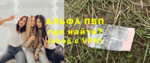 a pvp Каменногорск