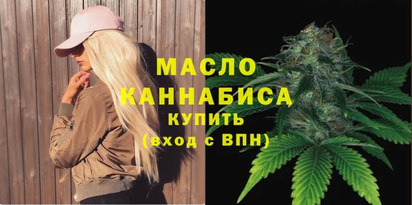 эйфоретик Каменка