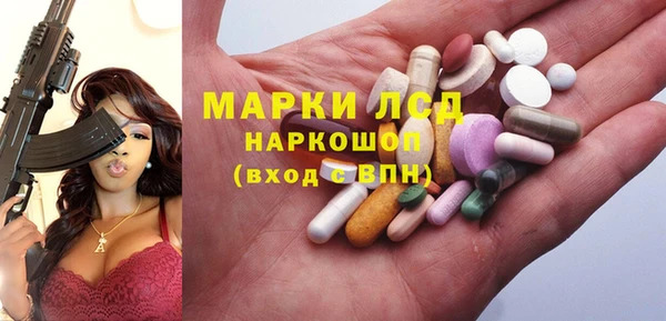 a pvp Каменногорск