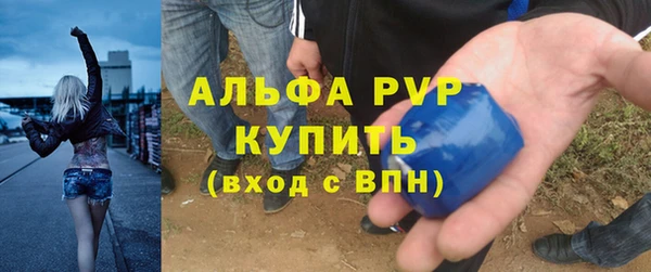 a pvp Каменногорск